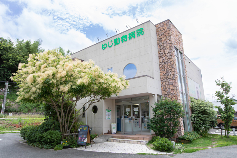 ゆじ動物病院