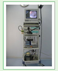 オリンパス社製動物専用電子内視鏡（ＯＬＹＭＰＵＳ　ＶＥＳ）