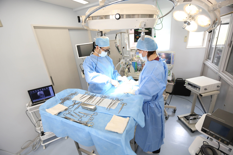 ゆじ動物病院の獣医師の教育