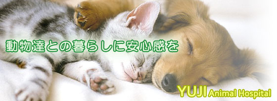 ����������s�I���@���������q�l�ɑ�l�C�́u�䂶�����a�@�ʐM�v���Ђ����ǉ������܂��B